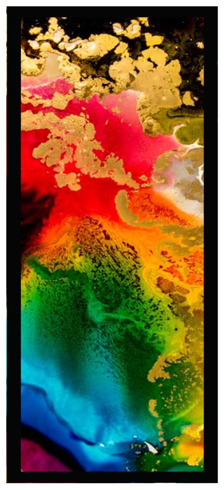 Jacquard Piñata Alcohol Ink Colours, 4 oz