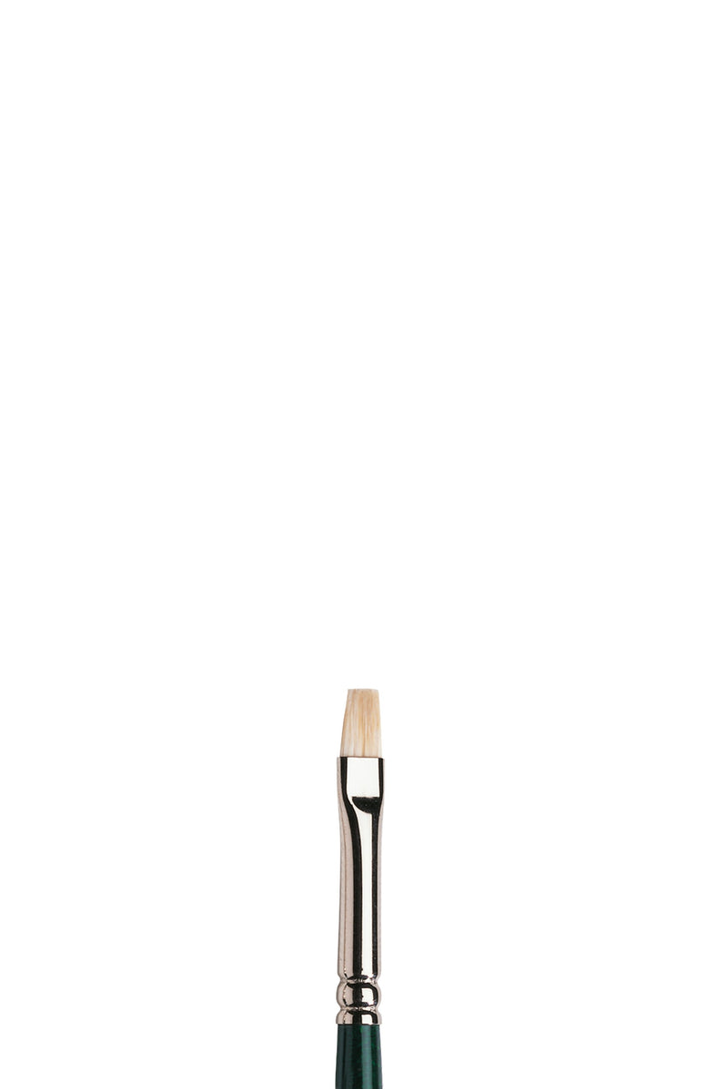 Winsor & Newton Winton Oil Brush Assorted
