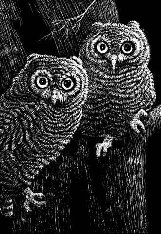 Scratch Art Scratchboard