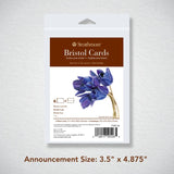 STRATHMORE   Bristol Cards PACK OF 6 CARDS